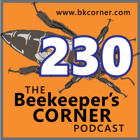 BKCorner Episode 230 - Memories