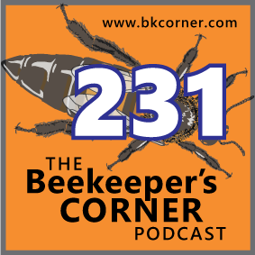BKCorner Episode 231 - Zone 7