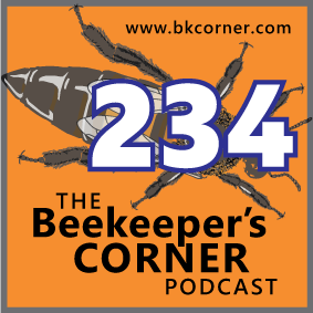 BKCorner Episode 234 - Tonks