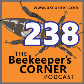 BKCorner Episode 238 - OA Any Day