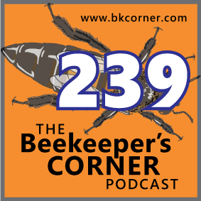 BKCorner Episode 239 - Successful Failure