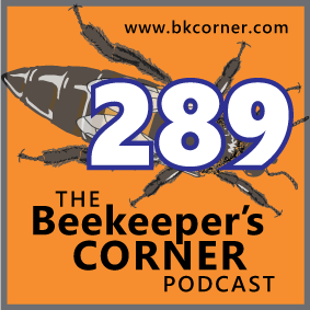 BKCorner Episode 289 - Good Vibes