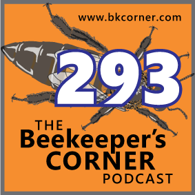 BKCorner Episode 293 - Siesta