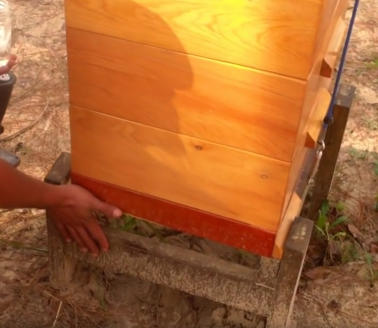 2×4 Hive Stand