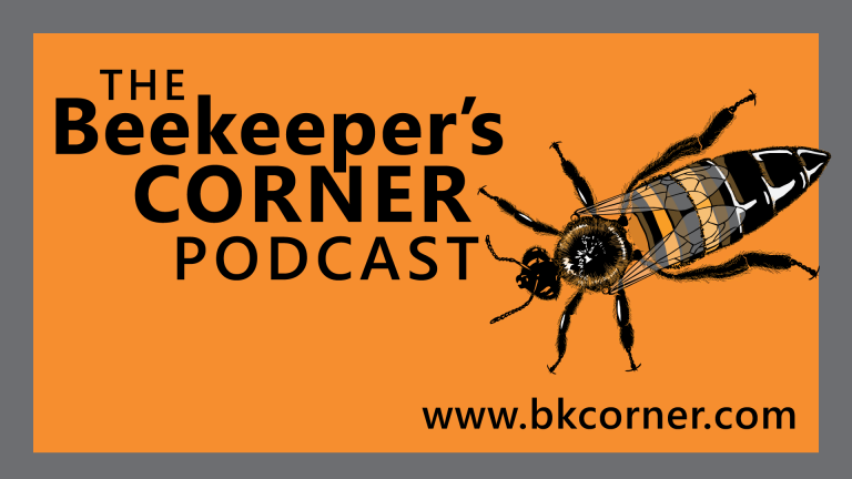 NEW, BKCorner YouTube Channel (Please Consider Subscribing!)