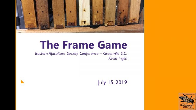 The Frame Game – EAS