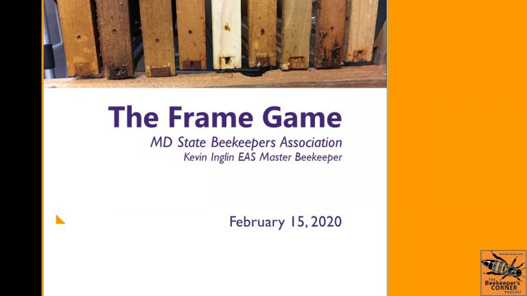 The Frame Game – MD