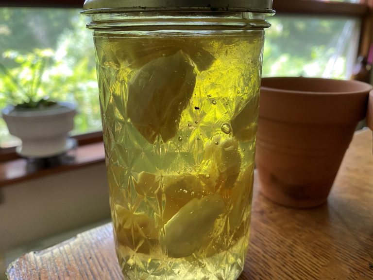 Fermented Honey Garlic