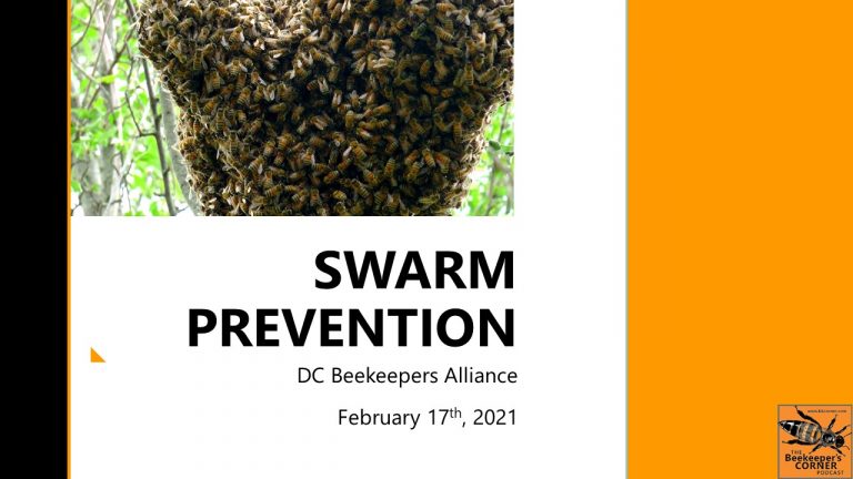 Swarm Management – DC Bees