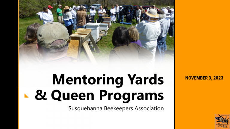 Mentoring Yard and Queen Rearing