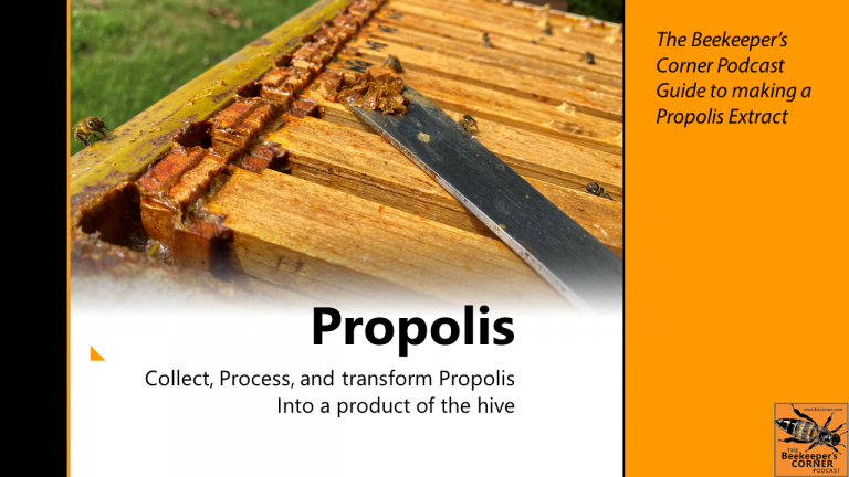 Propolis Extract Recipe/Process