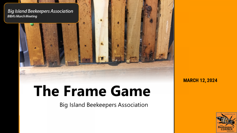 The Frame Game – BIBA