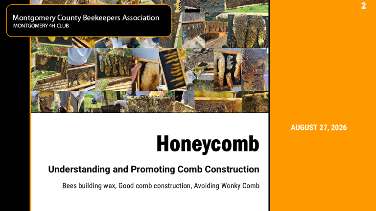 Understanding and Promoting Comb Construction